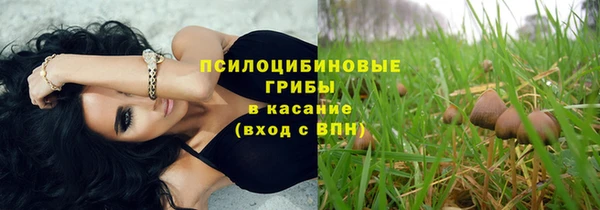 мяу мяу кристалл Богданович